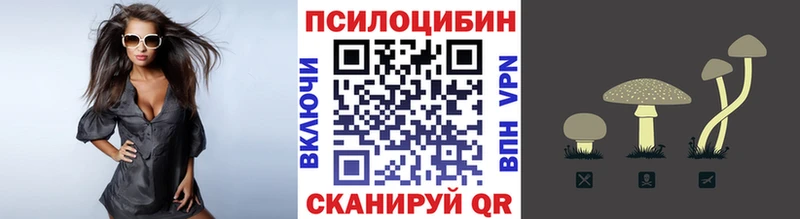 Псилоцибиновые грибы Psilocybine cubensis  Купить закладки  Елизаветинская 